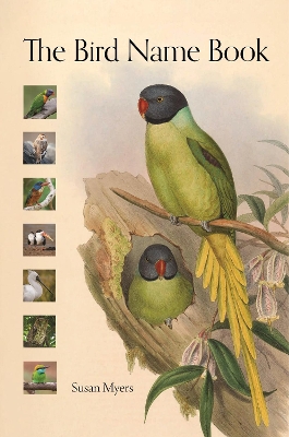 Bird Name Book