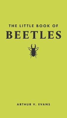 Little Book of Beetles