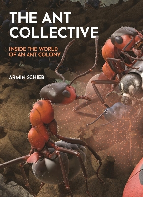 Ant Collective