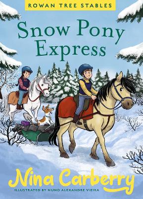 Rowan Tree Stables 3 - Snow Pony Express