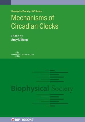 Mechanisms of Circadian Clocks