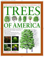 Trees of America
