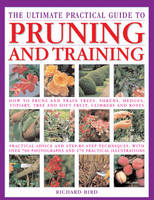 Ultimate Practical Guide to Pruning and Training