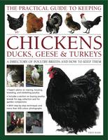 Practical Guide to Keeping Chickens, Duck, Geese & Turkeys