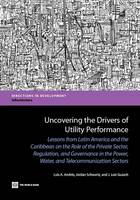 Uncovering the Drivers of Utility Performance