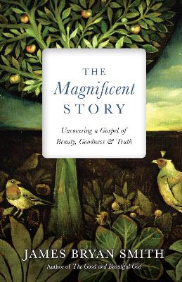 Magnificent Story - Uncovering a Gospel of Beauty, Goodness, and Truth