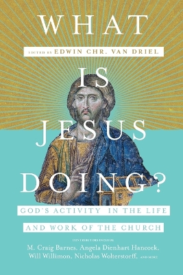 What Is Jesus Doing? - God`s Activity in the Life and Work of the Church