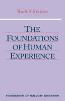The Foundations of Human Experience