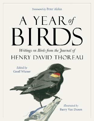 A Year of Birds