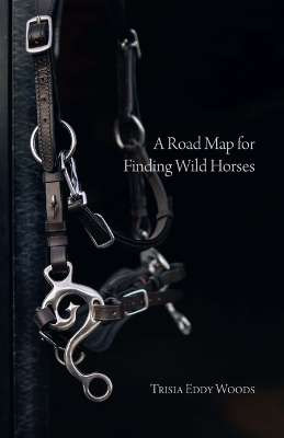 Road Map for Finding Wild Horses