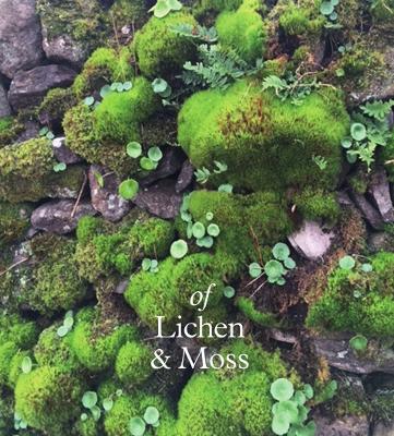 of Lichen & Moss