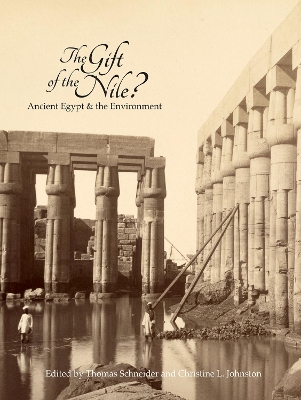 The Gift of the Nile?
