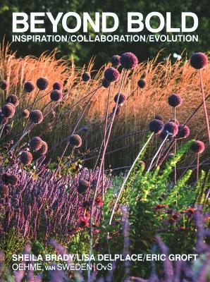 Beyond Bold: Inspiration, Collaboration, Evolution