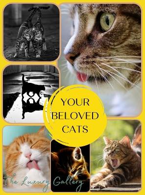 Your Beloved Cats