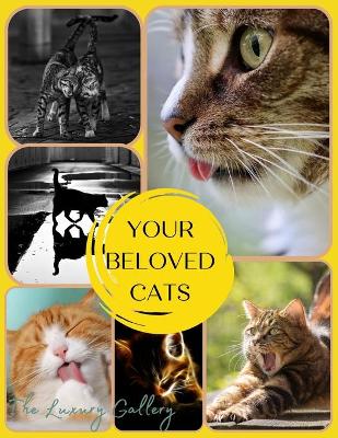 Your Beloved Cats