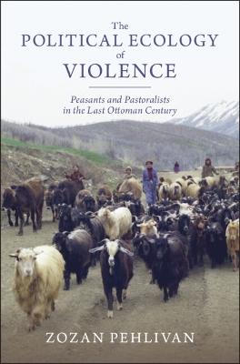 Political Ecology of Violence