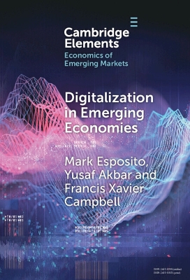 Digitalization in Emerging Economies