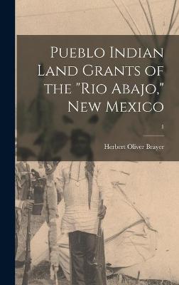 Pueblo Indian Land Grants of the "Rio Abajo," New Mexico; 1