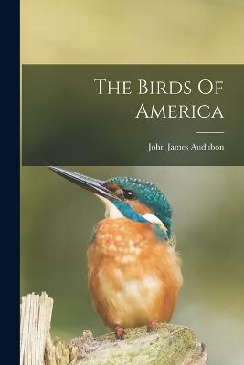 Birds Of America