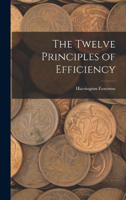 The Twelve Principles of Efficiency