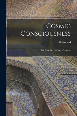 Cosmic Consciousness