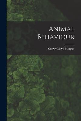 Animal Behaviour