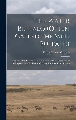 The Water Buffalo (Often Called the Mud Buffalo)