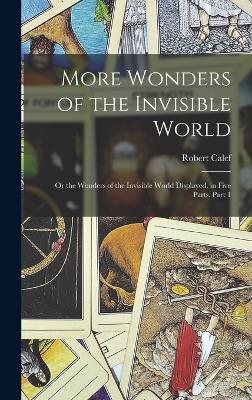 More Wonders of the Invisible World