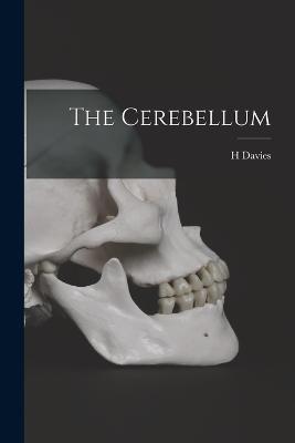 The Cerebellum