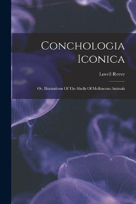 Conchologia Iconica