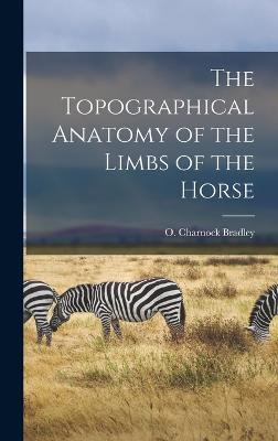 Topographical Anatomy of the Limbs of the Horse