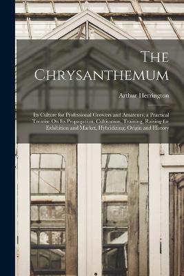 The Chrysanthemum