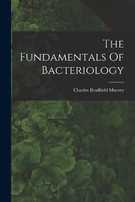 The Fundamentals Of Bacteriology