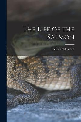 The Life of the Salmon