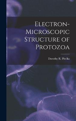 Electron-microscopic Structure of Protozoa