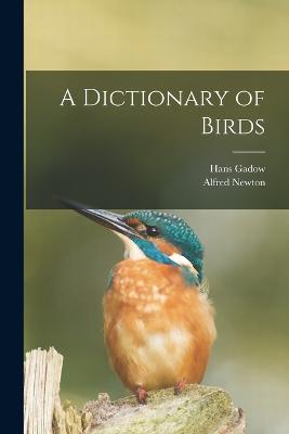 Dictionary of Birds