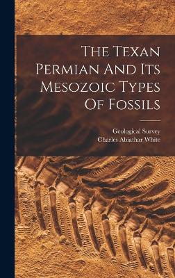 Texan Permian And Its Mesozoic Types Of Fossils