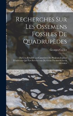 Recherches Sur Les Ossemens Fossiles De Quadrupedes