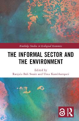 The Informal Sector and the Environment