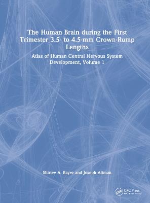 Human Brain during the First Trimester 3.5- to 4.5-mm Crown-Rump Lengths