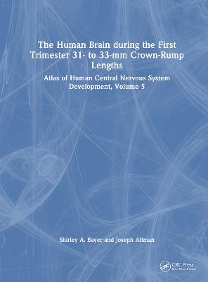The Human Brain during the First Trimester 31- to 33-mm Crown-Rump Lengths
