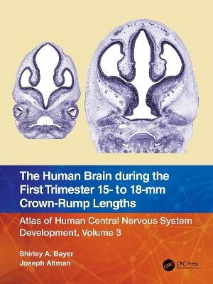 Human Brain during the First Trimester 15- to 18-mm Crown-Rump Lengths