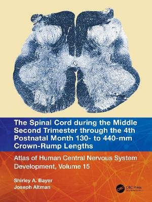 The Spinal Cord during the Middle Second Trimester through the Fourth Postnatal Month 130- to 440-mm Crown-Rump Lengths