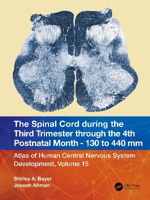 The Spinal Cord during the Third Trimester through the 4th Postnatal Month - 130 to 440 mm