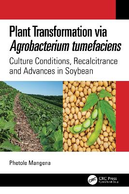 Plant Transformation via Agrobacterium Tumefaciens