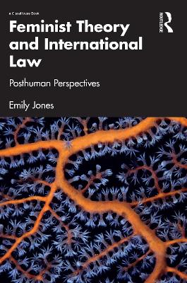 Feminist Theory and International Law