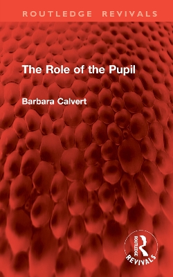 The Role of the Pupil