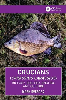 Crucians (Carassius carassius)