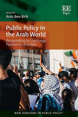 Public Policy in the Arab World