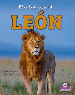 El Ciclo de Vida del Leon - Second Edition (the Life Cycle of a Lion)